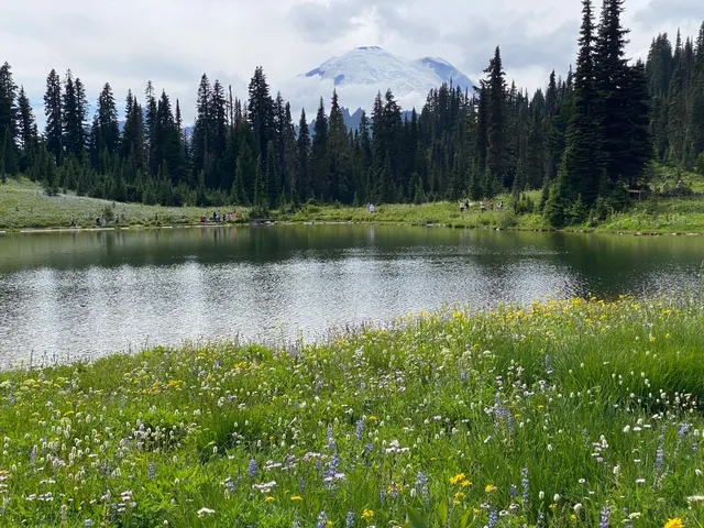 Weekend Wildflower Hike Recommendation 