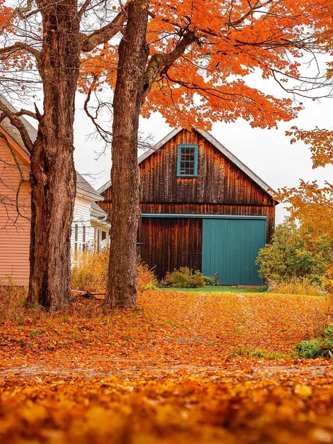 Vermont’s Fall Foliage Has No Equal in the U.S. 🍁✨