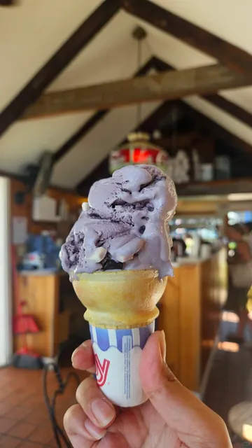 Rockport, Boston for a Half-Day Trip