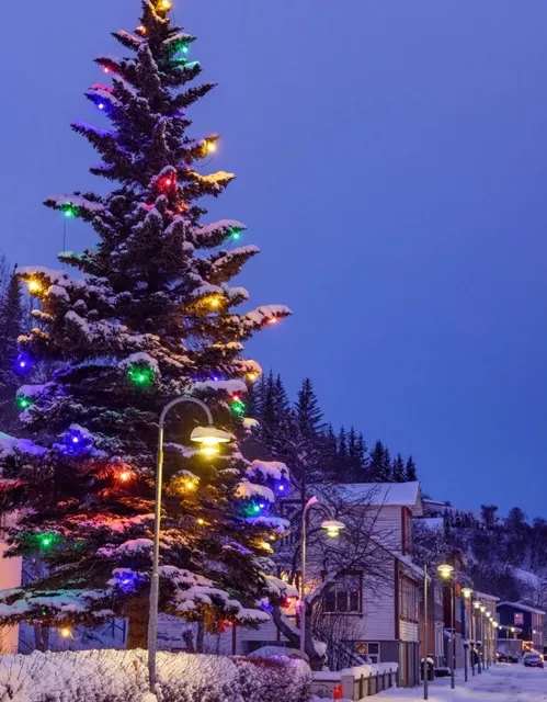 Akureyri, Iceland | Every Red Light is a Love Confession 💗