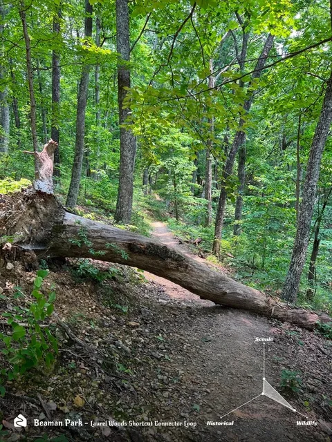 🌲 Nashville Trail Share 05: Laurel Woods Shortcut Connector Loop