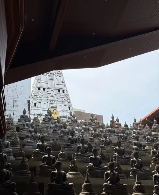 Colombo One-Day Tour ❤️💙🧡💚💛