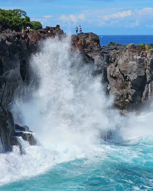 East Izu Route |  Jogasaki Coast 