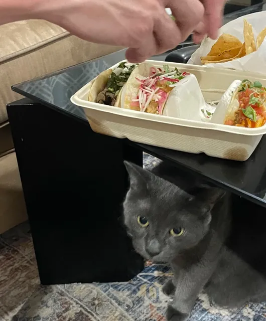 Hamilton Food Guide | Hidden Gems in the Hammer