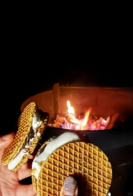 🏡 Seattle Getaway | Cozy Cabin Vibes in Skagit Valley ❄️