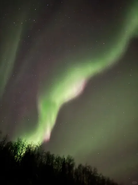 🐕 Fairbanks, Alaska – Northern Lights, Dog Sleds & Foodie Finds! ❄️✨