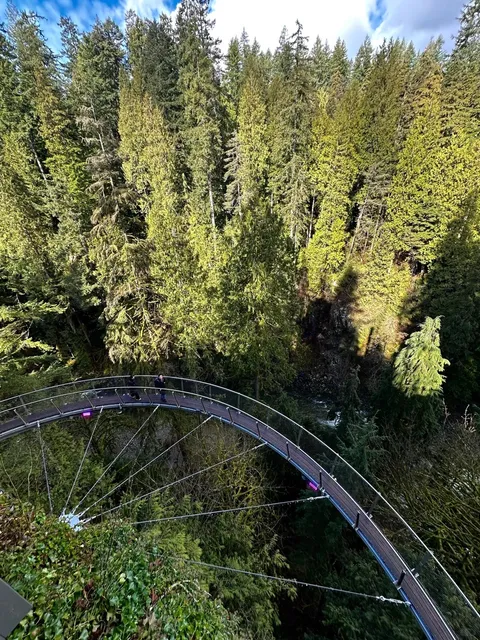 Must-Visit in Vancouver: The Iconic Forest Suspension Bridge Park! 🌲