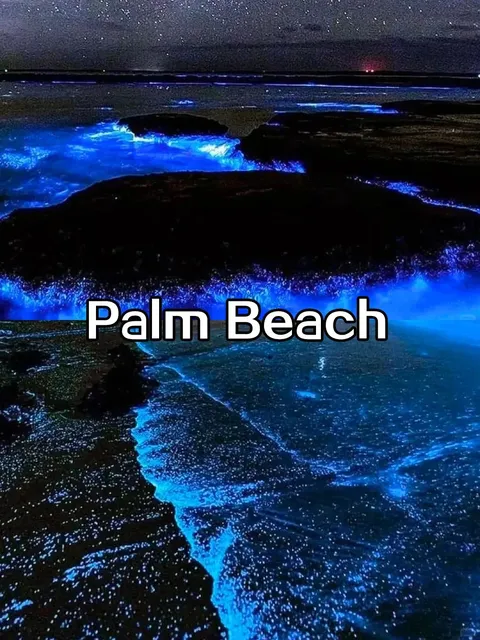 🇦🇺 Sydney’s "Blue Tears" Guide (August is Prime Time!)