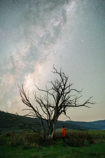  Canberra | Secret Stargazing Spot – Galaxy Guaranteed! 🌌
