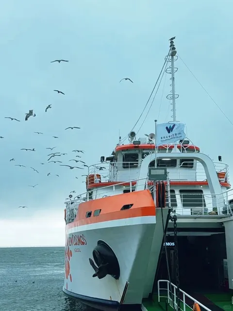  🌊【Incheon One-Day Private Car Tour Guide】Explore High-Aesthetic  