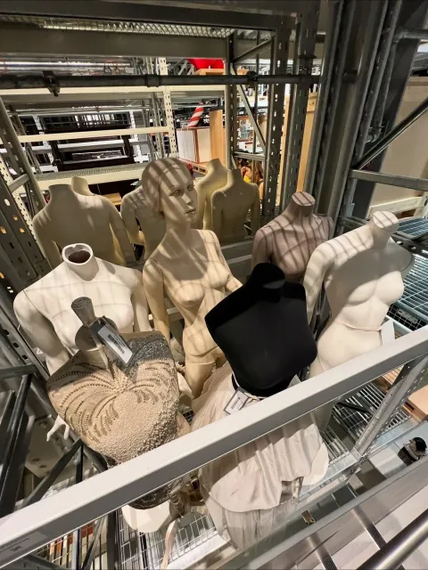 🏛️✨ Breaking the Mold: A Whole New Museum Experience! ✨🏛️