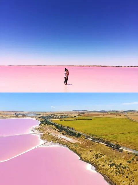 🇦🇺 Adelaide Day Trip: Stunning Pink Lake Guide 