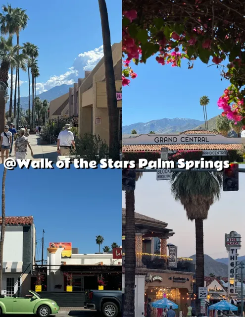 🌵 Palm Springs Solo Travel Guide – Spring Edition  