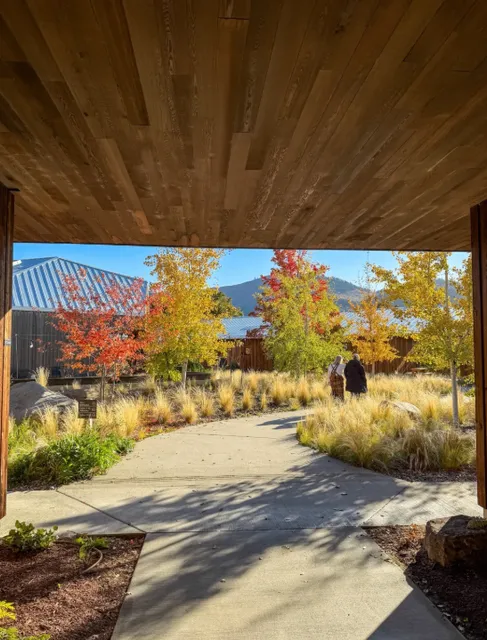 The Society Hotel: A Great Place to Relax Body and Mind 🏨