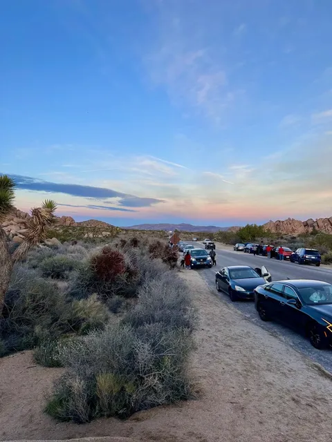 Los Angeles Day Trip | Joshua Tree National Park Photo Guide 📸✨
