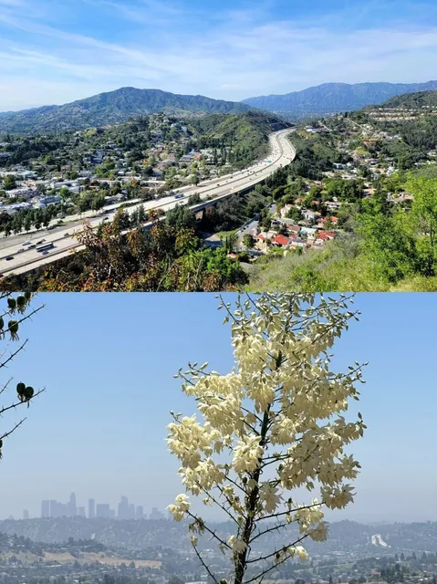  Must-Dos When Visiting Glendale on a Los Angeles Weekend