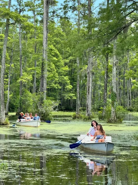 🌟 Charleston's Southern Charm ⭐️