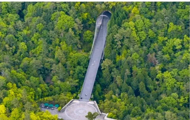 🍃🌺Miho Museum (Shiga Prefecture) 🌿