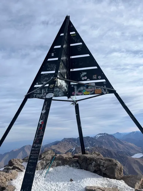 A Post-Birthday Adventure with Grit and Glory 🏟️🐬🌴