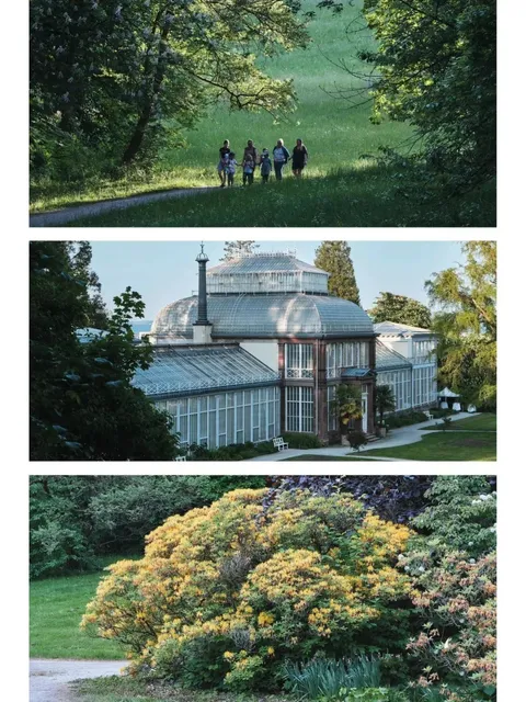 🇩🇪 Kassel: Where Fairy Tales & Baroque Grandeur Collide! ✨