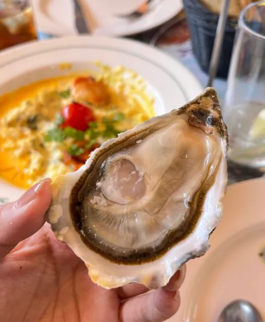 Cannes | Dive into Seafood Bliss at This Must-Visit Spot 🌊✨