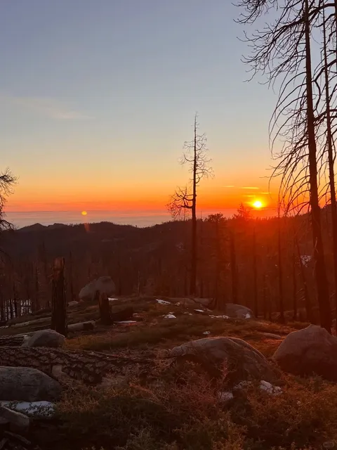 Sequoia National Park: A Place of Wonder and Spirit 🌲✨