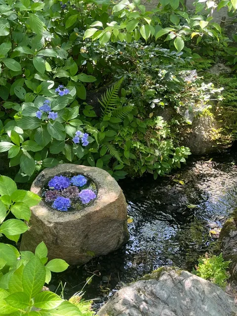 Ichijo Ekan Sanso 🔹 Hidden Courtyard Teahouse for Hydrangea Viewing 