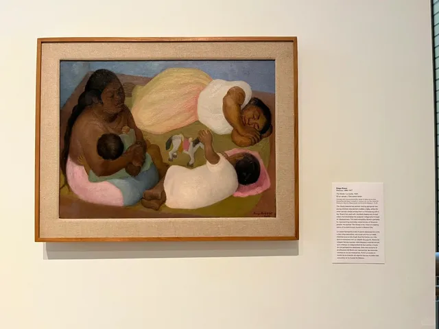 San Antonio Museum of Art (SAMA) | Review & Guide 