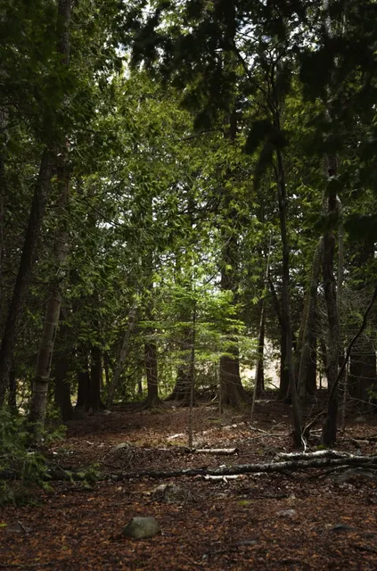  Bruce Peninsula Weekend Escape – Grotto Adventure!