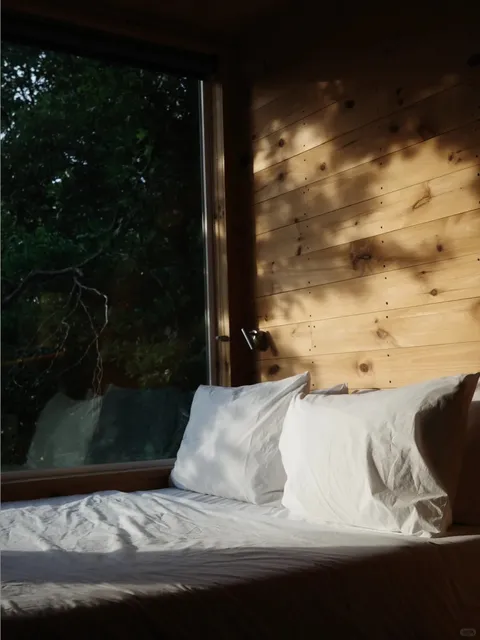 Escape from Dallas: Met a Raccoon Family at the Cozy Cabin! 🦝