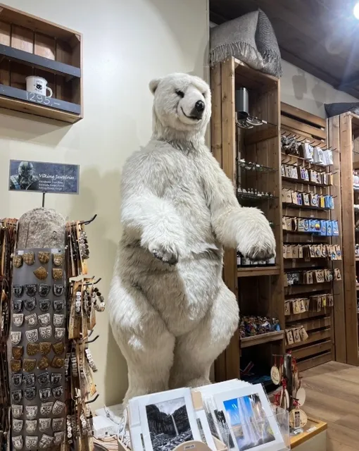 A Day of Eating & Drinking in Reykjavík 🇮🇸