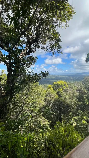 Cairns Adventure: Kuranda Rainforest Explorer