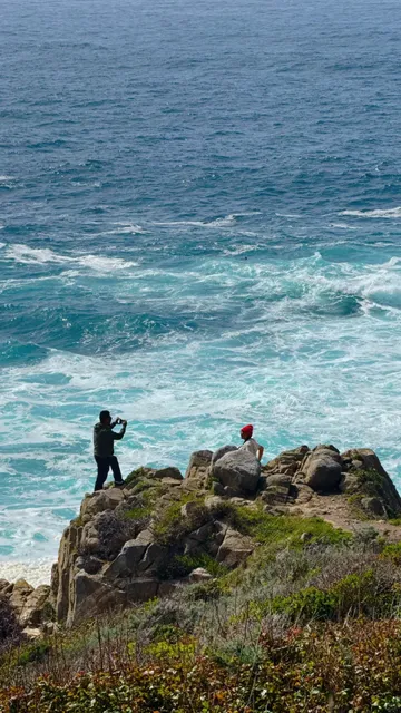 🚗 17-Mile Drive Guide｜The Legendary Coastal Route of Highway 1!