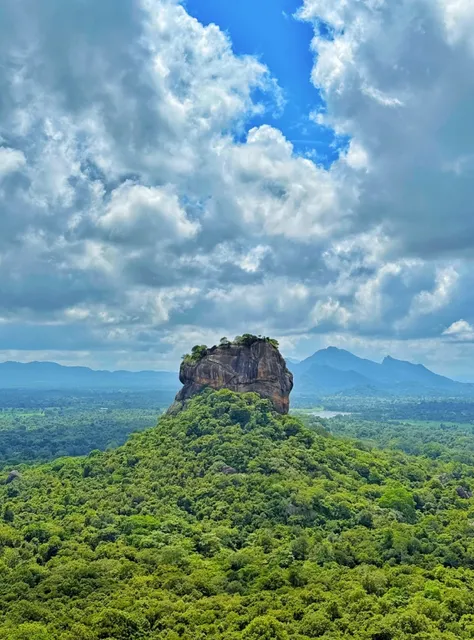 ​​The 8th Wonder of the World: A Millennium-Old Giant Awakens​​