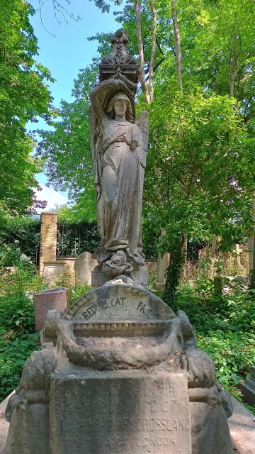 An Absolutely Glorious Experience! 🌳