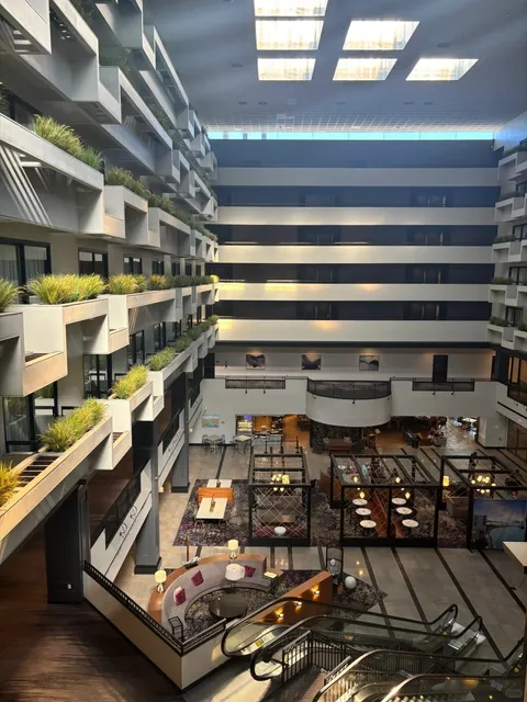 Savannah, A Southern Town 🌿