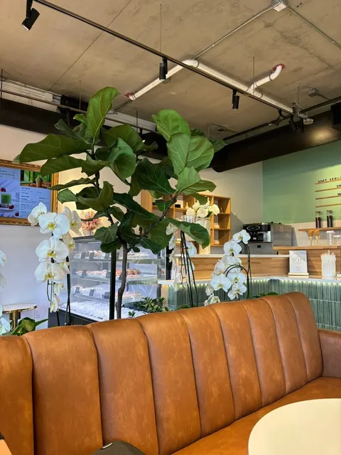 🍵 Denver Cafe | Matcha & Taro Lovers, This One’s For You! 💜