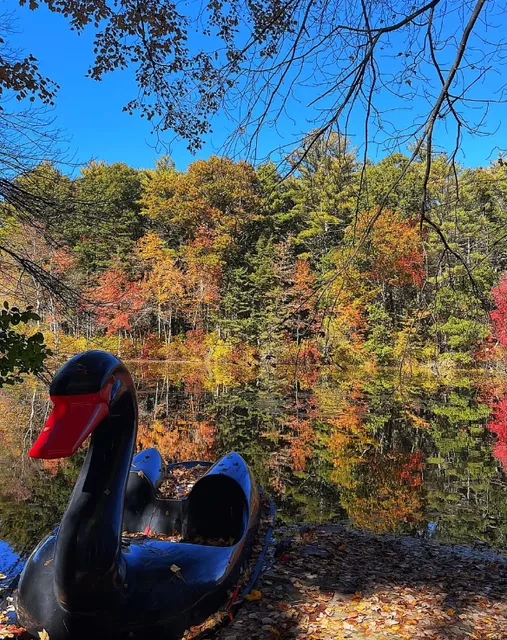 Surrounded by Boston | A haven for furry aliens