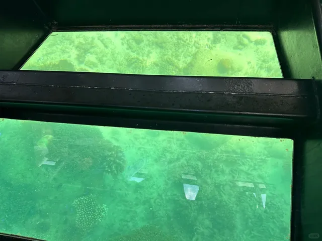 Honest Thoughts About Cairns... 🌊🌴