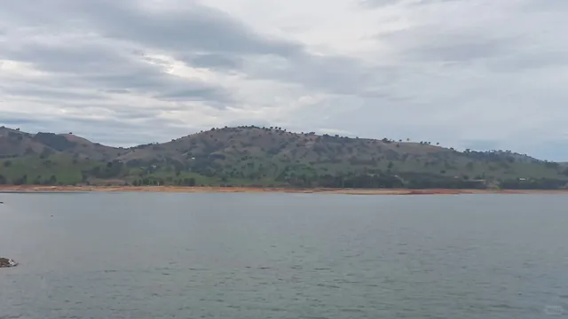 A Eucalyptus-Scented Adventure in Albury!🌿