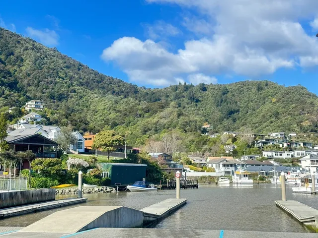 ☀️ Sunny Picton is a Photographer's Dream!