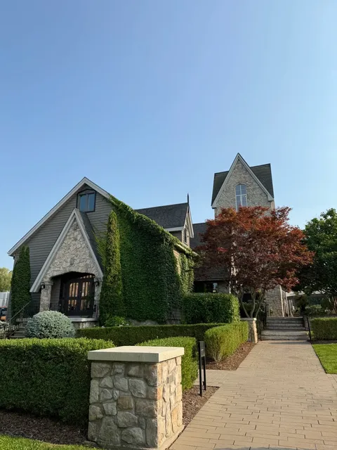  Where Every Moment Feels Magical! 🍇✨​​