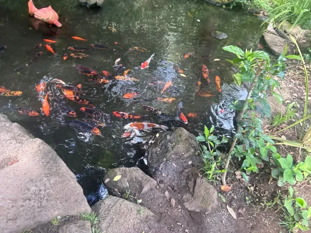 Best Tour OAT (Of All Time)! 🌟