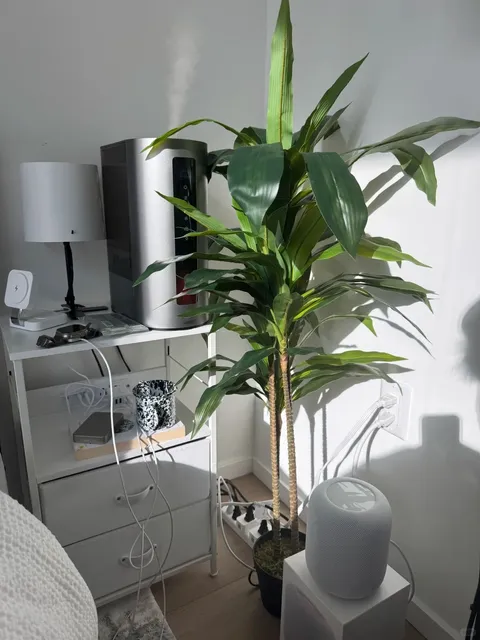 🇺🇸 First Thanksgiving in the US