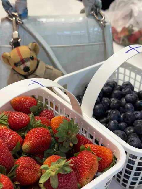 🍇 ​​Barrie Hill Farms: Toronto's SWEETEST Blueberry Picking Spot!​​ 