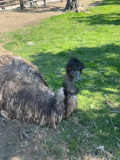 🇺🇸 Napa Trip 🍷