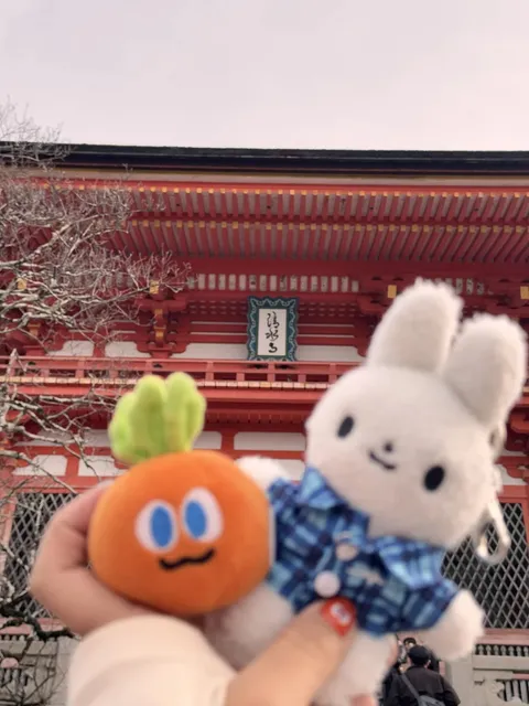 Give Kyoto a Splash of "Color" 👀