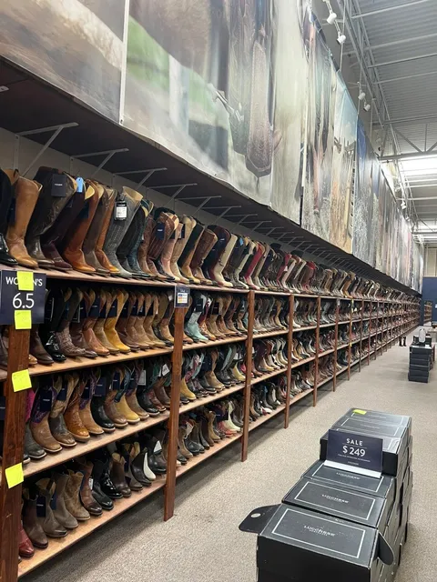 2-Day Adventure in El Paso: Cowboy Boots & Desert Surprises 🤠🌵