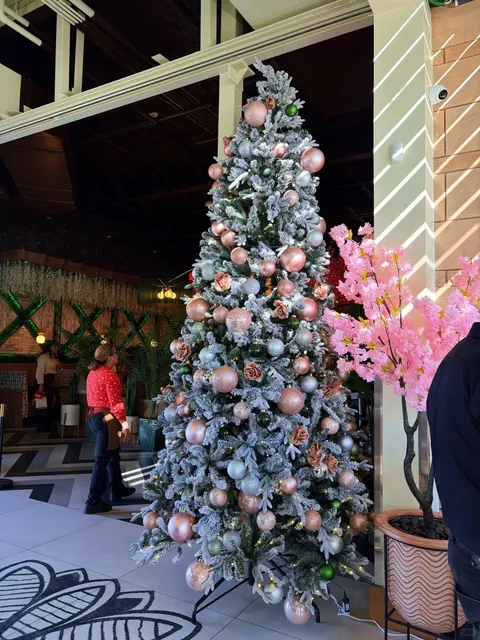 Atlanta | This New Brunch Spot is a Real Winner! 🍴✨