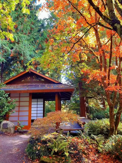 🌿 Hidden Gem Alert: Bellevue Botanical Garden 